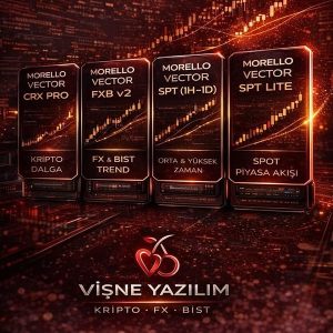 12 Aylık MDV Kullanım Hakkı